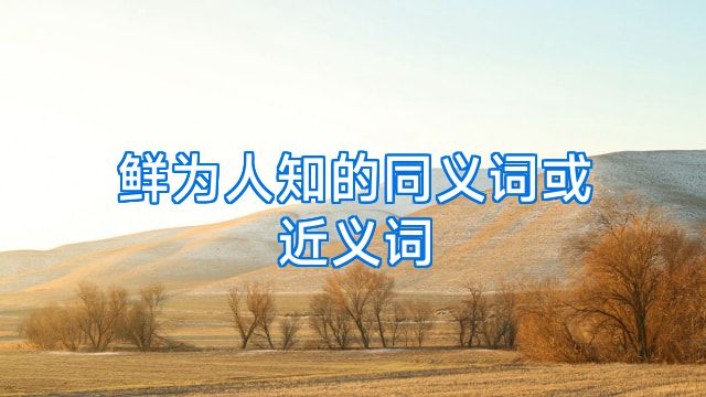 鲜为人知的同义词或近义词