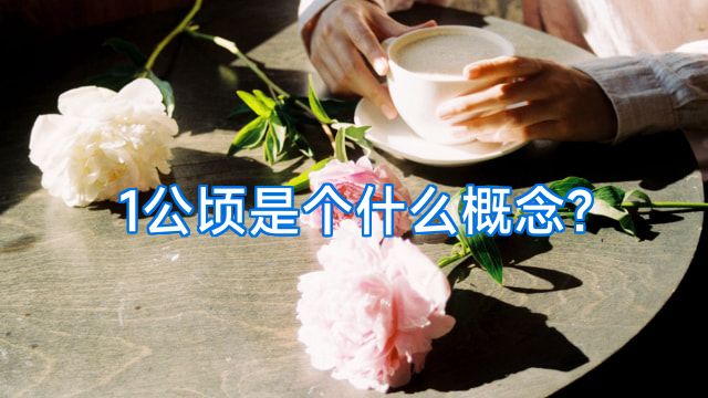 1公顷是个什么概念?
