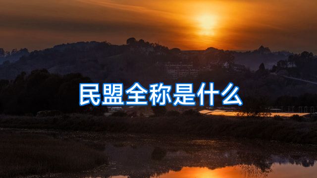 民盟全称是什么