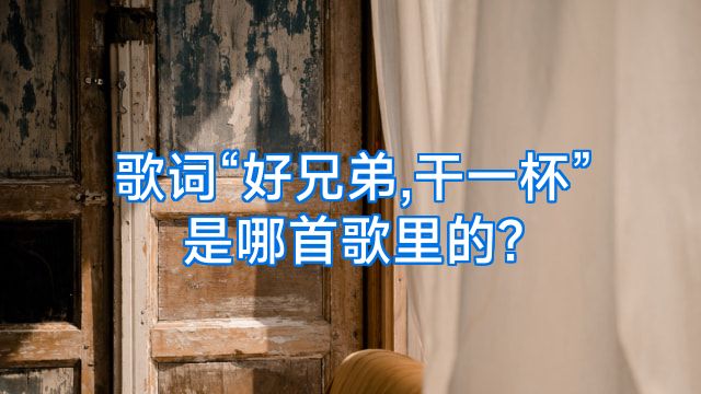 歌词“好兄弟,干一杯”是哪首歌里的?