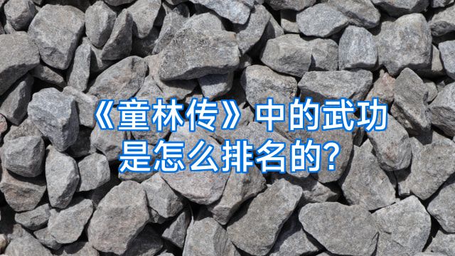《童林传》中的武功是怎么排名的?