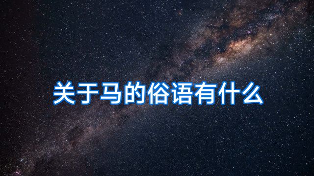 关于马的俗语有什么