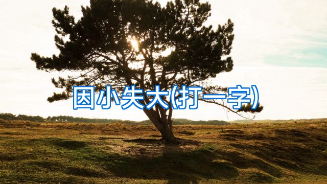 因小失大(打一字)