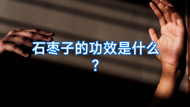 石枣子的功效是什么?