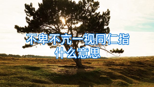 不卑不亢一视同仁指什么意思