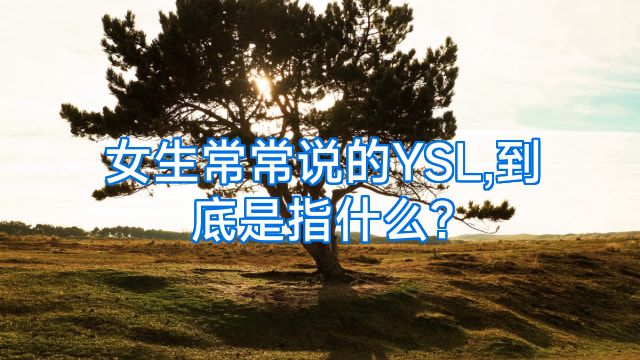 女生常常说的YSL,到底是指什么?