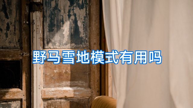 野马雪地模式有用吗