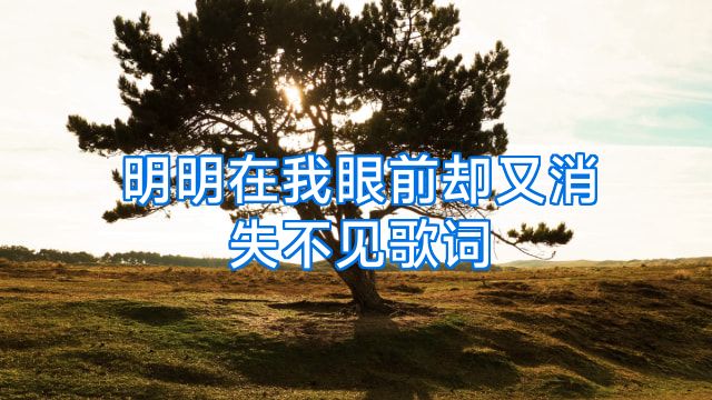 明明在我眼前却又消失不见歌词