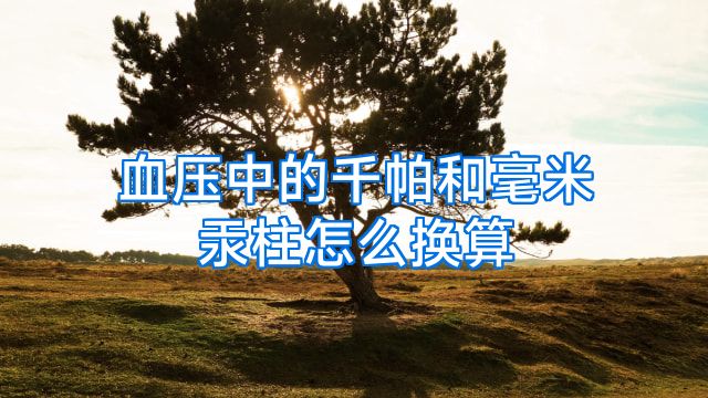 血压中的千帕和毫米汞柱怎么换算