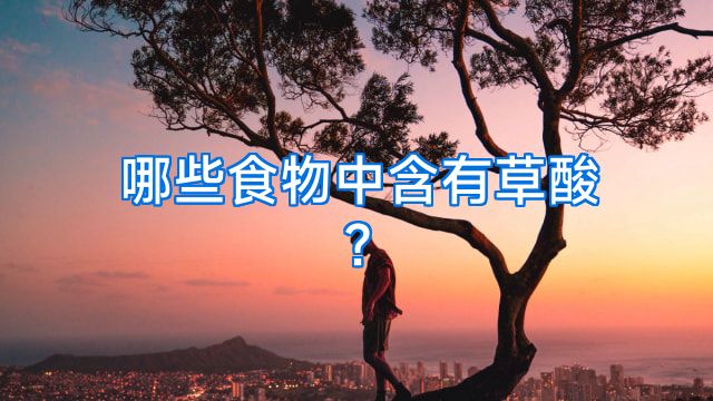 哪些食物中含有草酸?