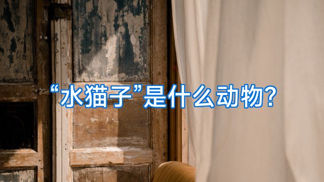 “水猫子”是什么动物?