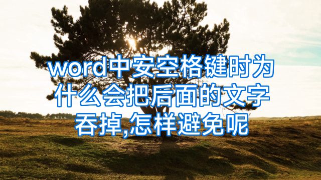 word中安空格键时为什么会把后面的文字吞掉,怎样避免呢