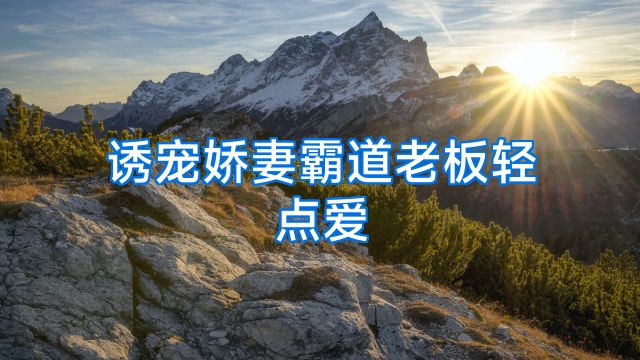 诱宠娇妻霸道老板轻点爱