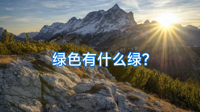 绿色有什么绿?