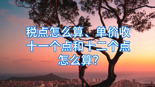 税点怎么算、单价收十一个点和十二个点怎么算?
