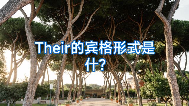 Their的宾格形式是什?
