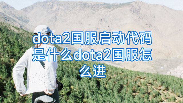 dota2国服启动代码是什么dota2国服怎么进