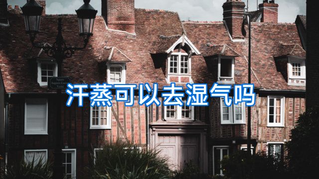 汗蒸可以去湿气吗