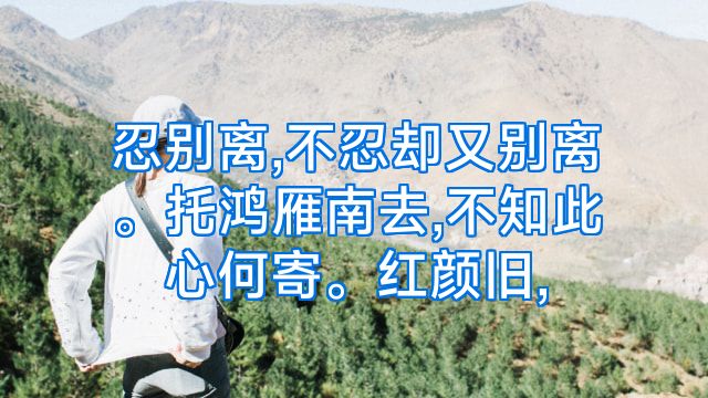 忍别离,不忍却又别离。托鸿雁南去,不知此心何寄。红颜旧,