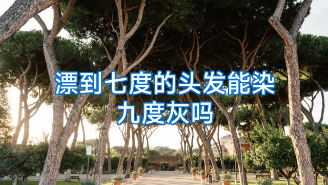 漂到七度的头发能染九度灰吗
