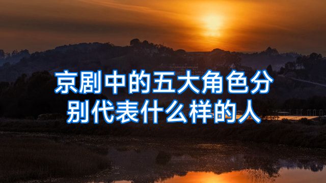 京剧中的五大角色分别代表什么样的人