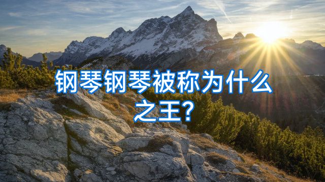 钢琴钢琴被称为什么之王?