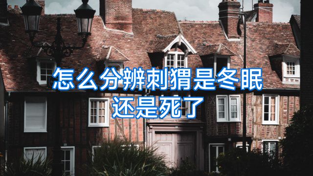 怎么分辨刺猬是冬眠还是死了