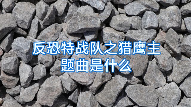 反恐特战队之猎鹰主题曲是什么
