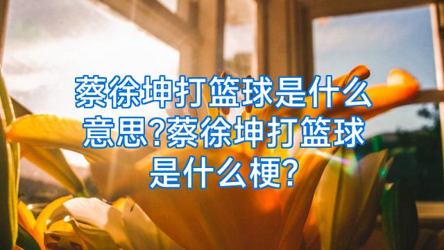 蔡徐坤打篮球是什么意思?蔡徐坤打篮球是什么梗?
