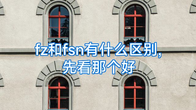 fz和fsn有什么区别,先看那个好