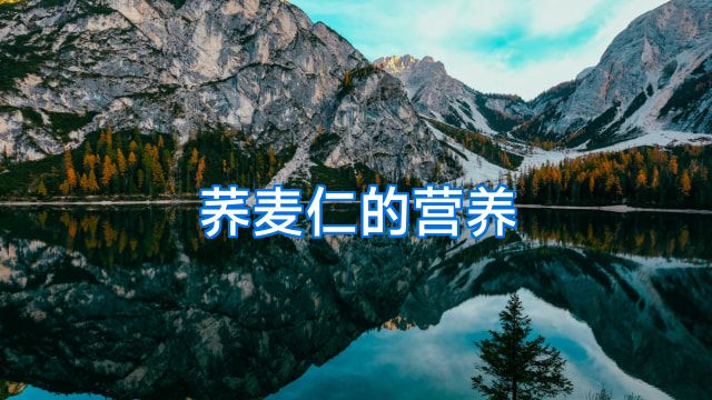 荞麦仁的营养