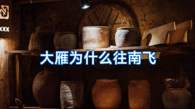 大雁为什么往南飞
