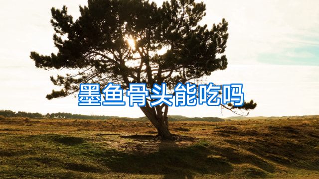 墨鱼骨头能吃吗
