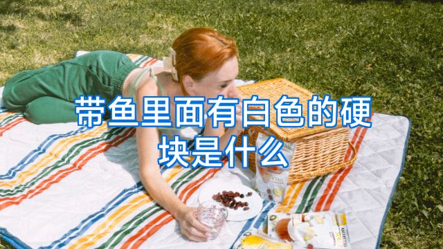 带鱼里面有白色的硬块是什么