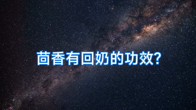 茴香有回奶的功效?