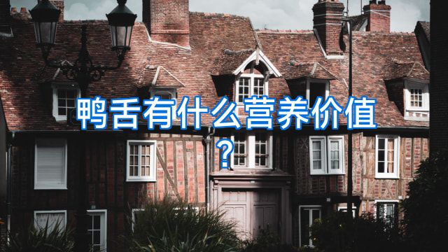 鸭舌有什么营养价值?