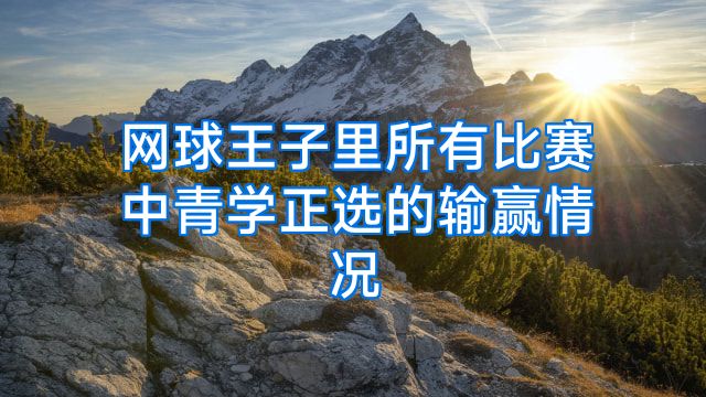网球王子里所有比赛中青学正选的输赢情况