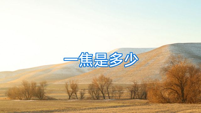 一焦是多少