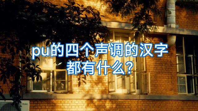 pu的四个声调的汉字都有什么?