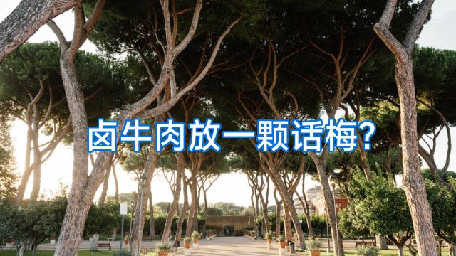 卤牛肉放一颗话梅?