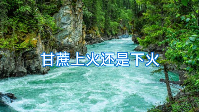 甘蔗上火还是下火