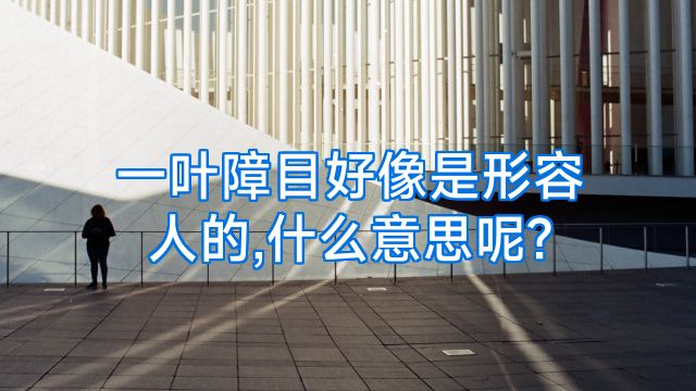 一叶障目好像是形容人的,什么意思呢?