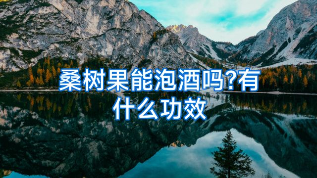 桑树果能泡酒吗?有什么功效