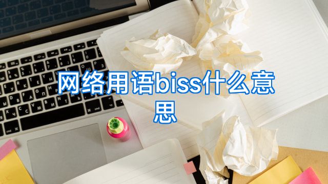 网络用语biss什么意思