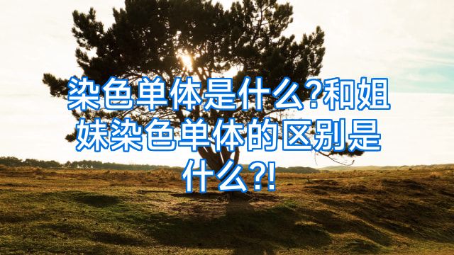 染色单体是什么?和姐妹染色单体的区别是什么?!