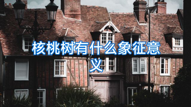 核桃树有什么象征意义