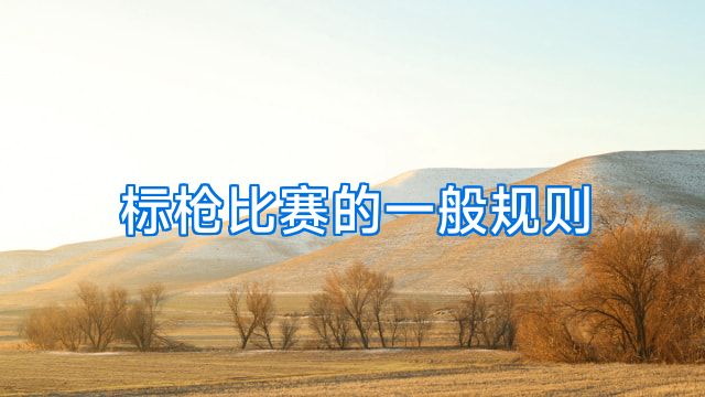 标枪比赛的一般规则