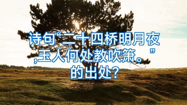 诗句“二十四桥明月夜,玉人何处教吹箫。”的出处?