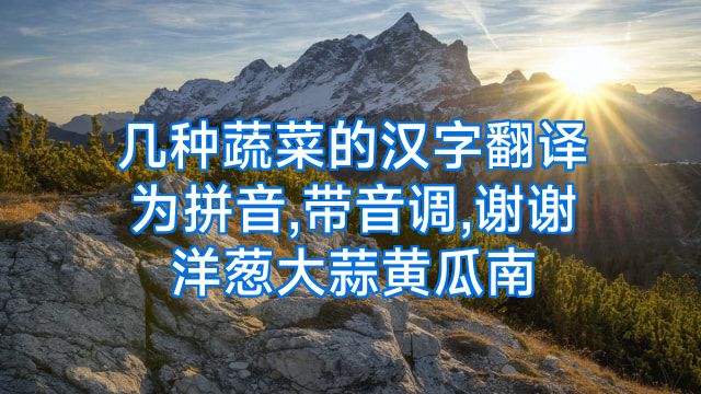 几种蔬菜的汉字翻译为拼音,带音调,谢谢洋葱大蒜黄瓜南