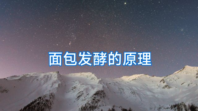 面包发酵的原理